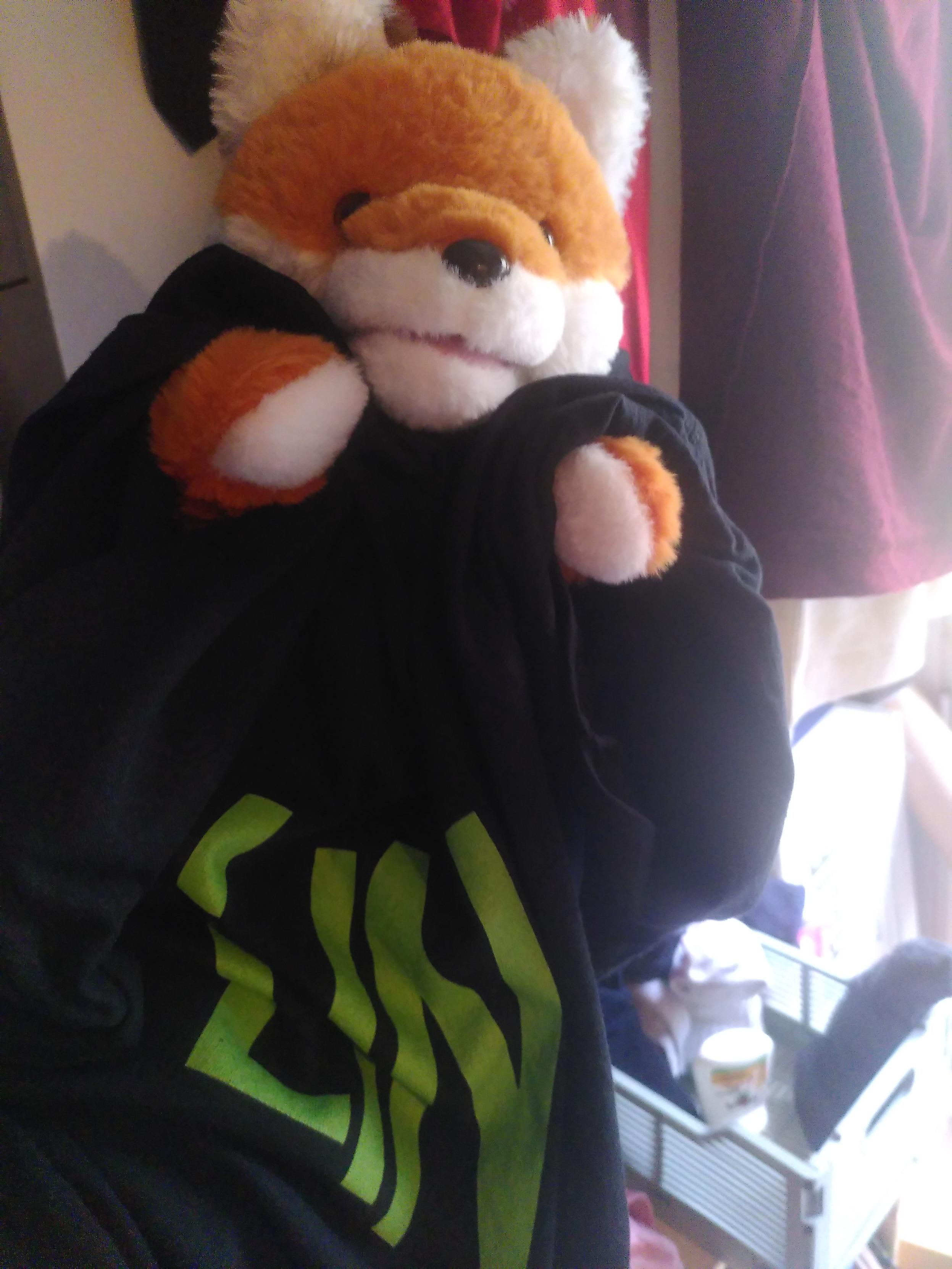 A foxy hand puppet trying to wear a large black teesh with linux written in large yellow-green lettee. Only the LIN letter are visible, the UX being lost in the folds.