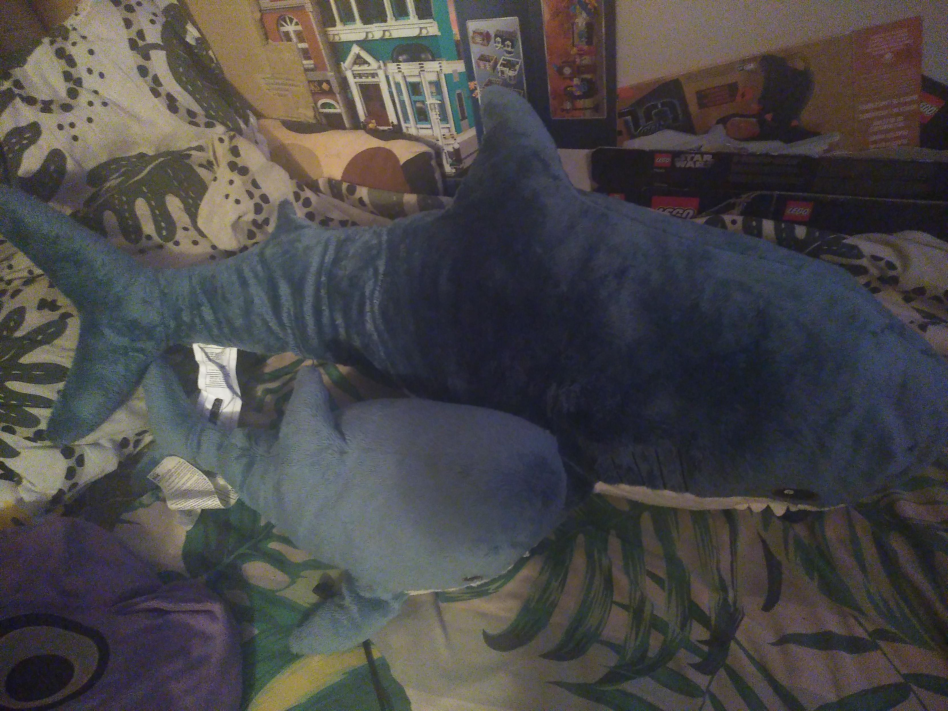 A big blahaj and a medium blahaj side by side