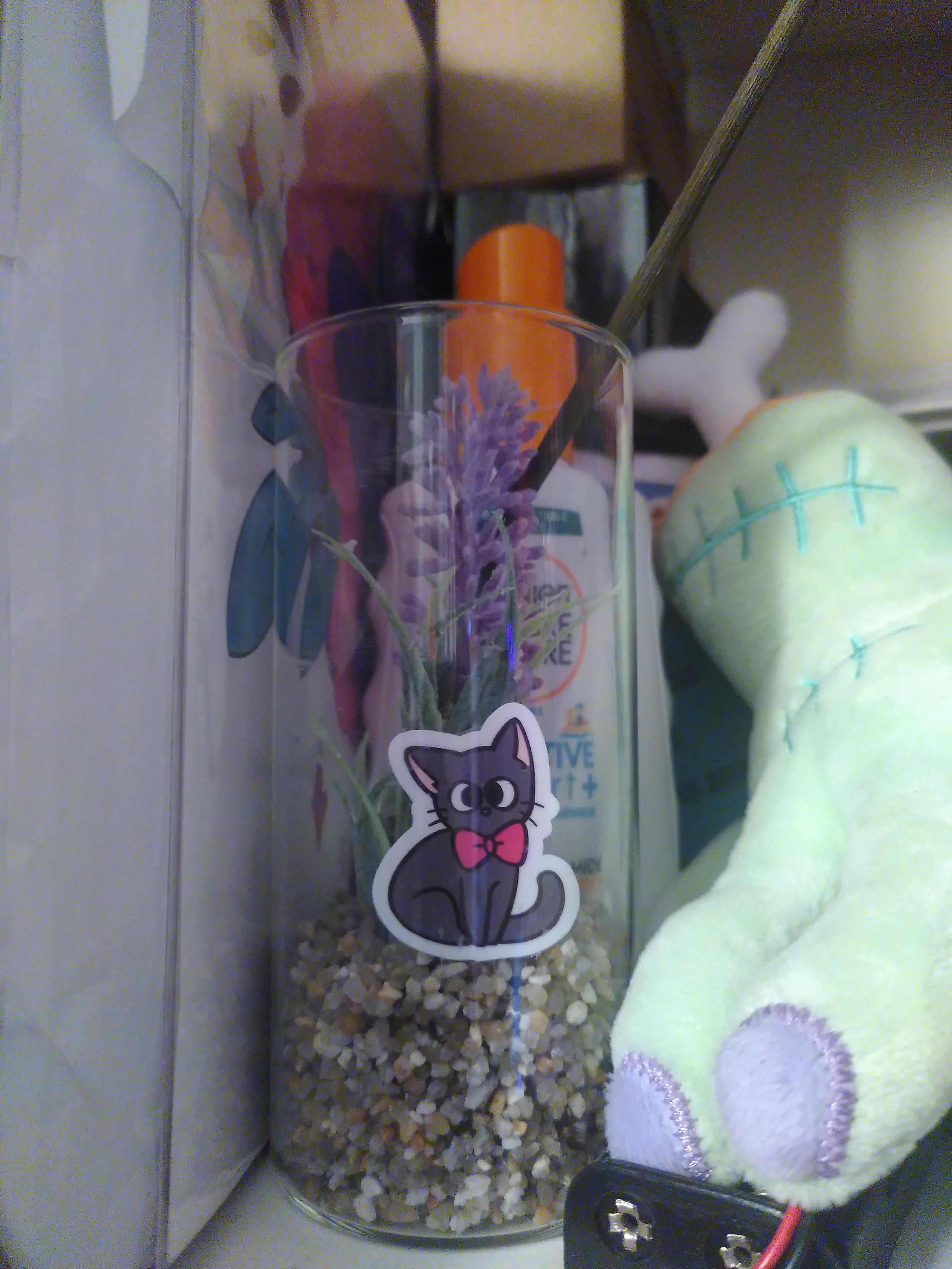 A bonus kitty sticker, reminding me of the cat in that ghibli movie. It is stored in a glass with a plastic purple flower