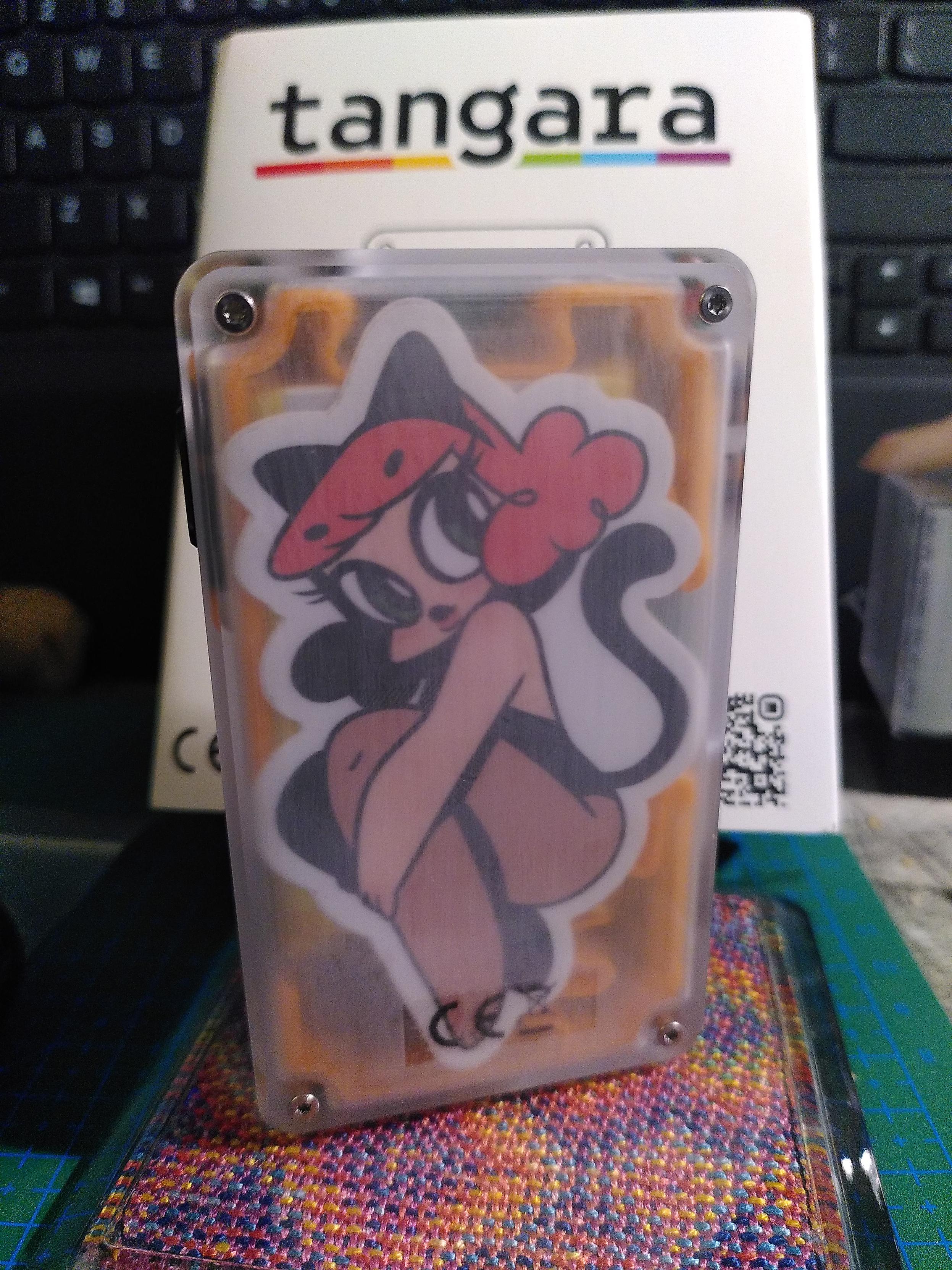 Back of a tangara device but there is a sticker between the battery and the clear plastic case. The sticker is a catgirl from nic the worst. The tangara is sitting upright on a coaster made by fibraquarelle.
