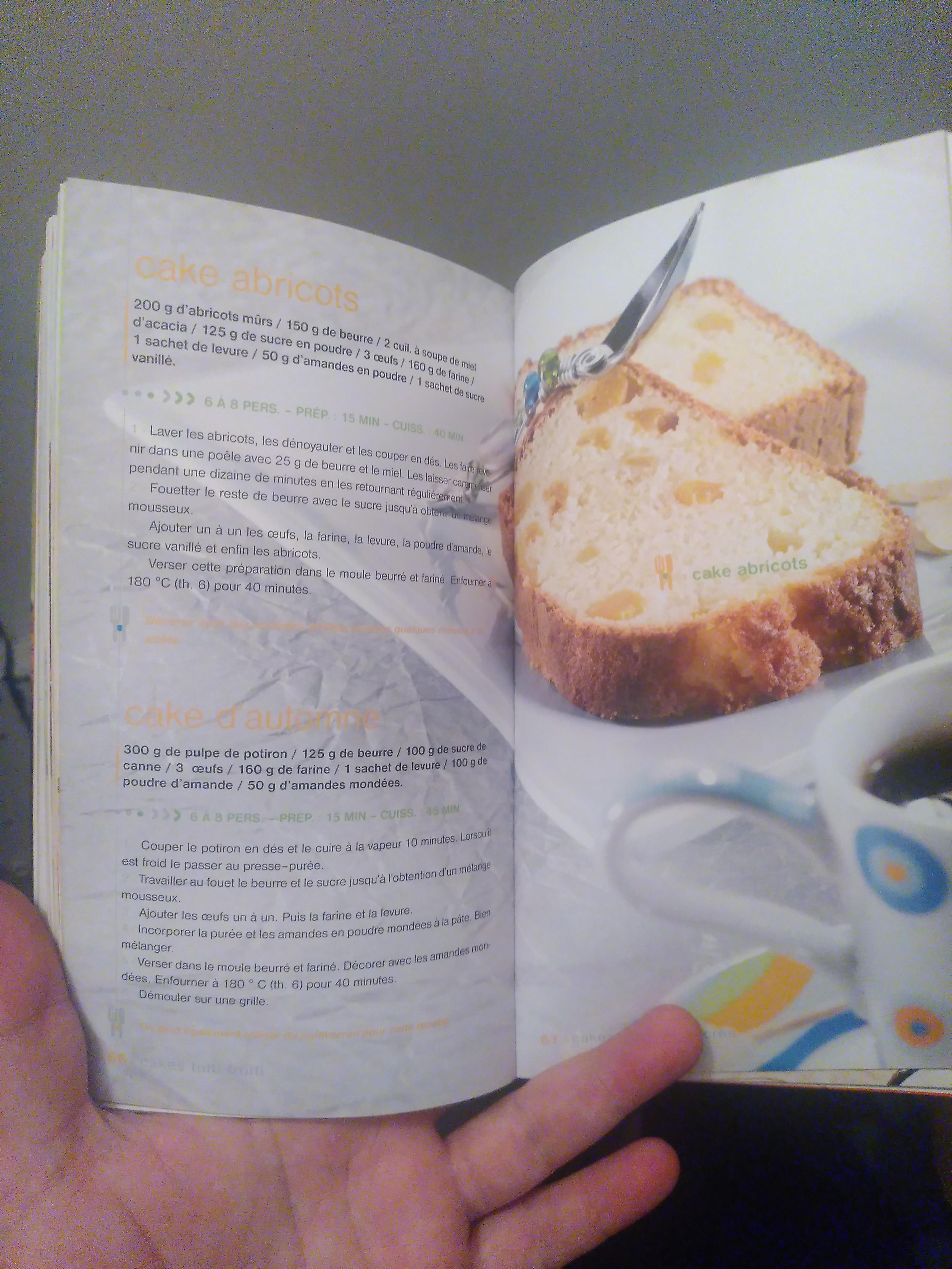 Photo d'un livre de recette de cake. Sur la page gauche, recettes de cake abricots et cake d'automne (potiron/amandes). Sur la page de droite, une photo avec hors focus au premier plan un mug blanc et cercles concentriques de couleurs et en arriere plan en focus deux parts de cake abricots et une petite cuillere avec deco en fil de fer et perle coloré translucide
