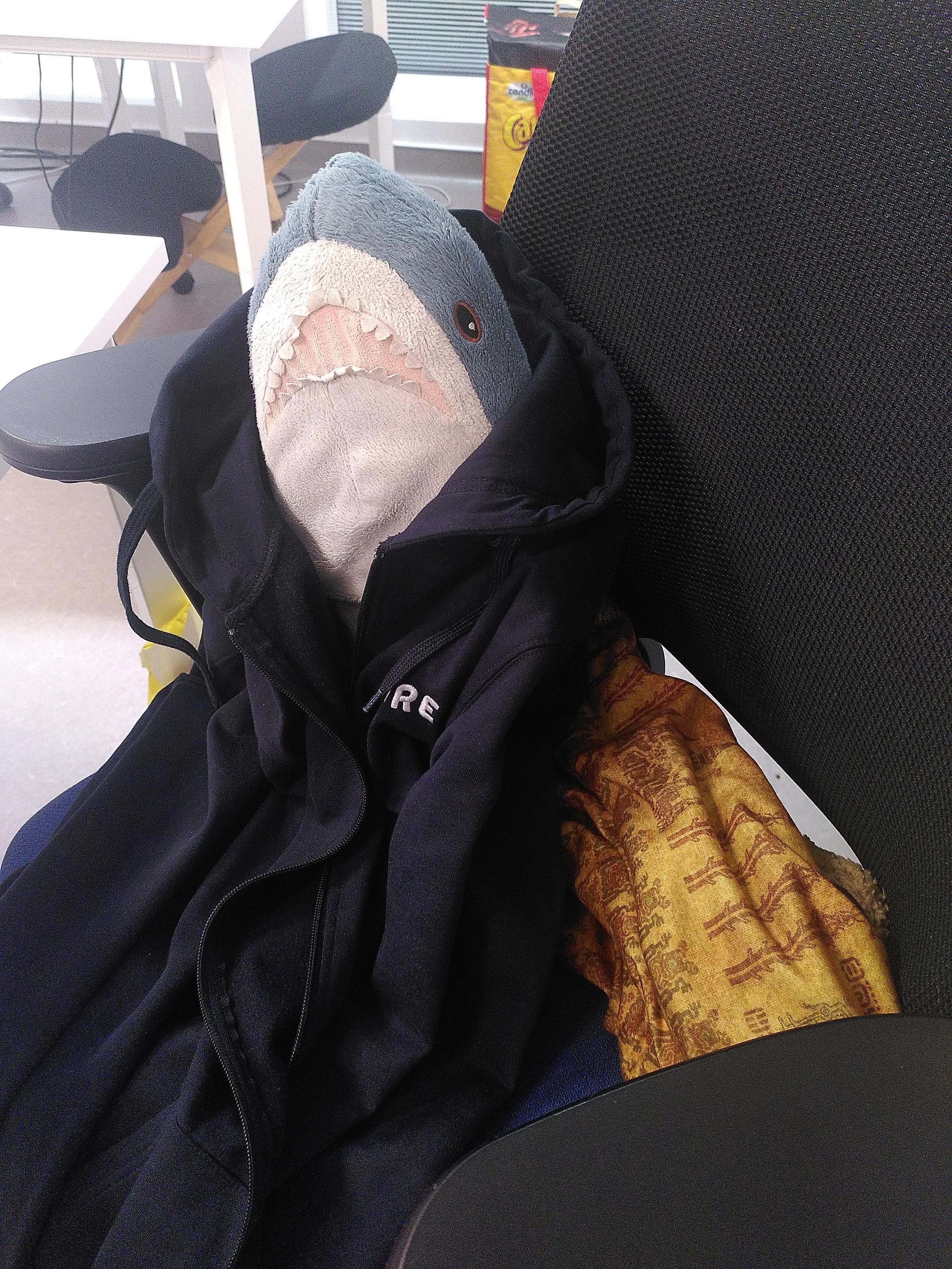 Photography of a blahaj plushie kinda wearing a dark blue hoodie, sitting in an office chair