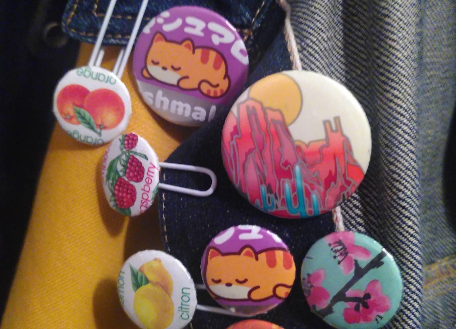 Photo of 6 badges/pin caps. Three have paper clip and fruits pictures (orange, raspberry and lemon), a medium and a small ine have a sleeping orange cat on a purple background, a medium one have a stylized western landscape with cactus, rocky mountain and a yellow sun, a small one have 3 pink cherry flower on aqua background