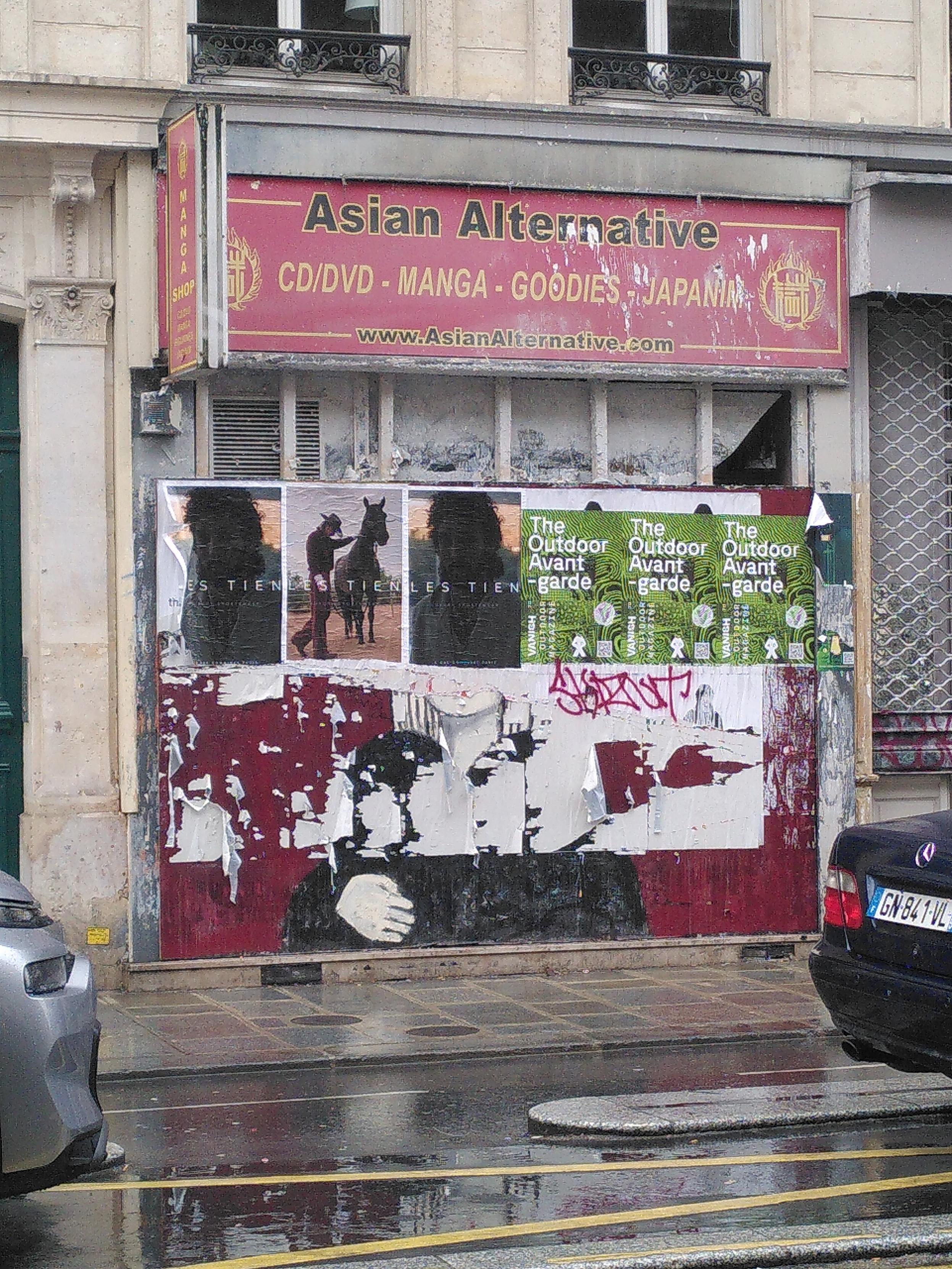 Second photo of the same piece of street art showing a woman with a black coat on a dark red background but the upper part is covered with ads and the botton part is eaten by left over of removed ads